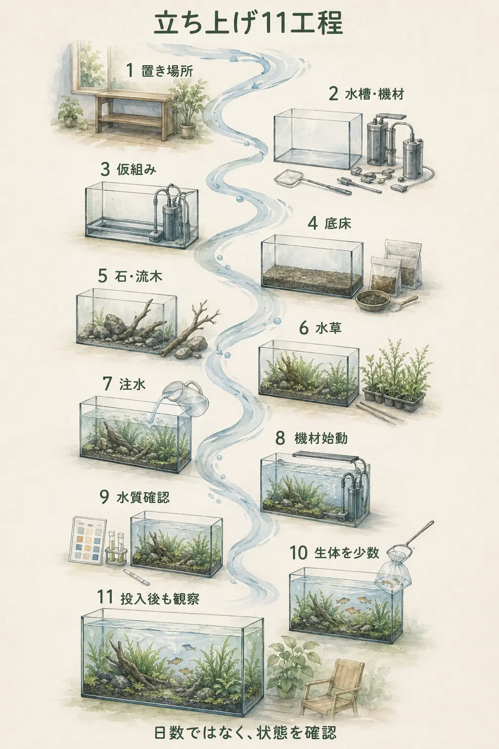 60cm水草水槽の立ち上げ11工程