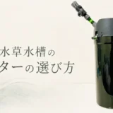 60cm水草水槽のフィルターの選び方のアイキャッチ