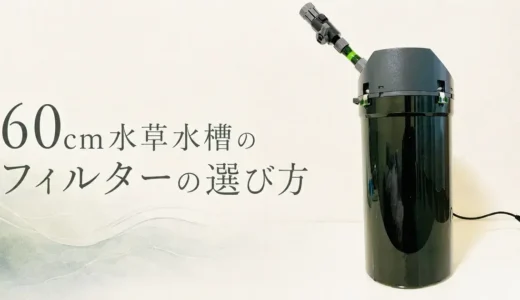 60cm水槽のフィルターはどれがいい？外部フィルターや水流も知りたい