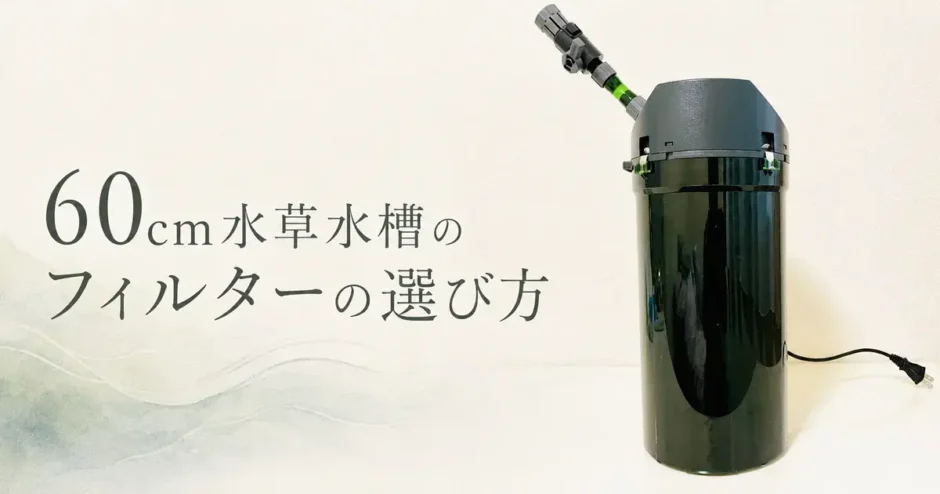 60cm水草水槽のフィルターの選び方のアイキャッチ