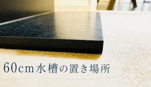 水槽はどこに置けばいい？水槽台は専用品が必要？