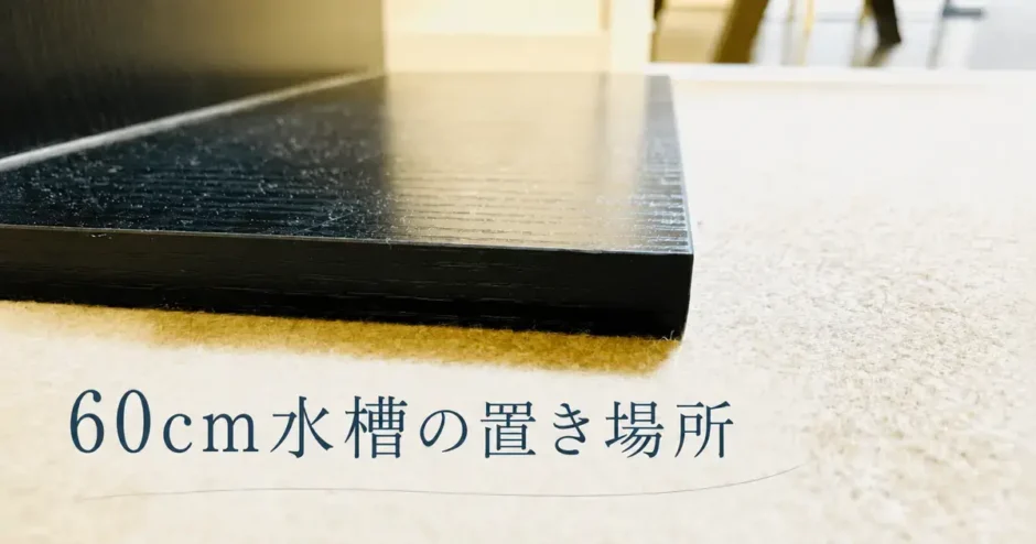 60cm水槽の置き場所のアイキャッチ
