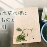 60cm水草水槽に必要なものと初期費用のアイキャッチ