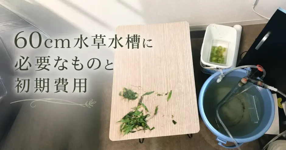 60cm水草水槽に必要なものと初期費用のアイキャッチ