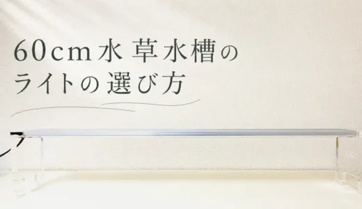水草水槽のライトはどう選ぶ？何時間つければいい？
