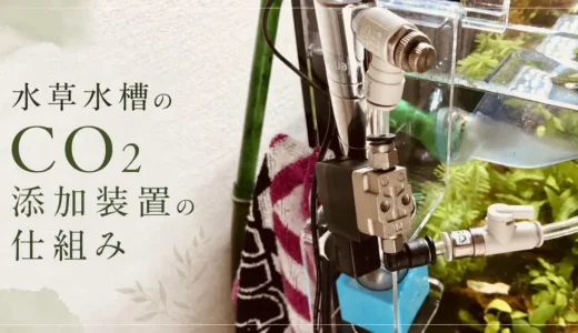 CO2って必要？始めるなら何をそろえればいい？