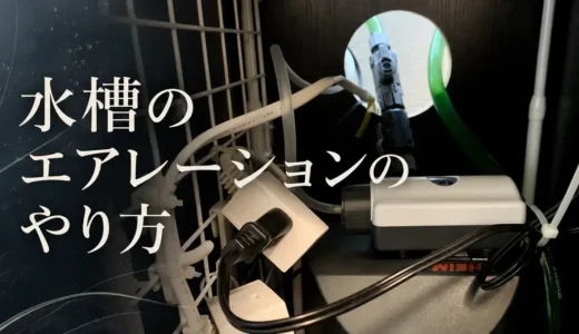 エアレーションって必要？CO2水槽では夜だけ使うの？