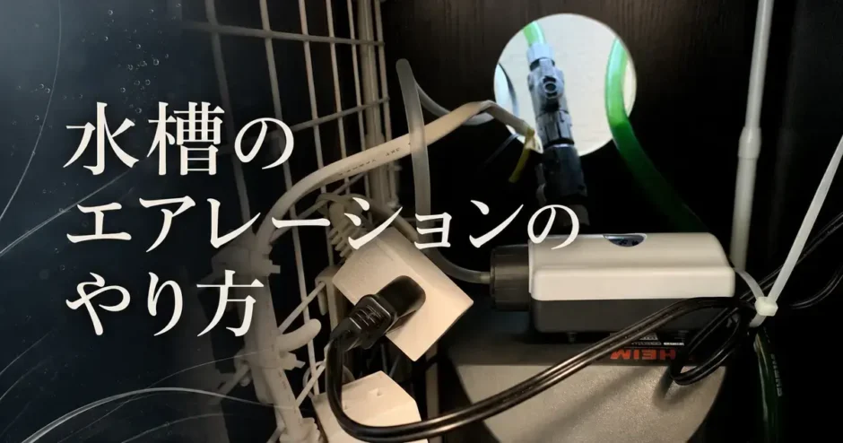 水槽のエアレーションのやり方のアイキャッチ