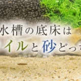 水槽の底床はソイルと砂どっち?違い・選び方・敷き方のアイキャッチ