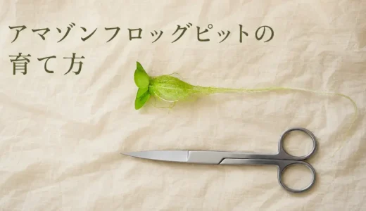 アマゾンフロッグピットが増えすぎたらどうする？