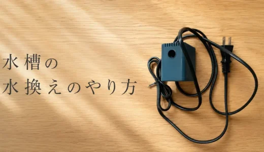 水換えって何のため？どれくらいの頻度で何割替える？