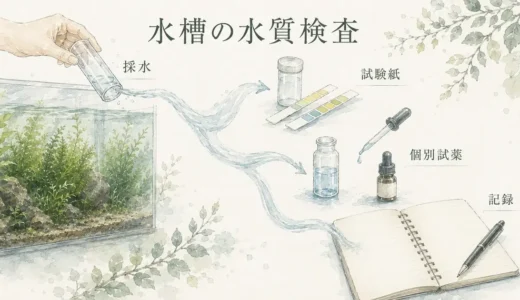 水質は何を測ればいい？アンモニア・亜硝酸・硝酸塩・pHって何？