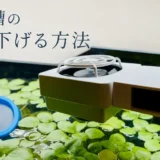 夏の水槽の水温を下げる方法のアイキャッチ
