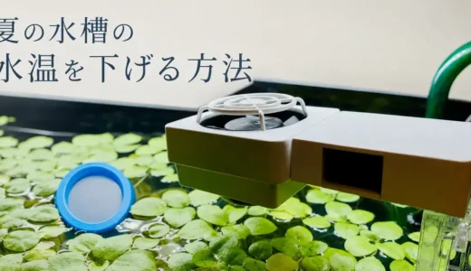 夏に水温が上がったらどうする？冷却ファンだけで足りる？