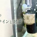 水槽の酸欠サインと対策のアイキャッチ