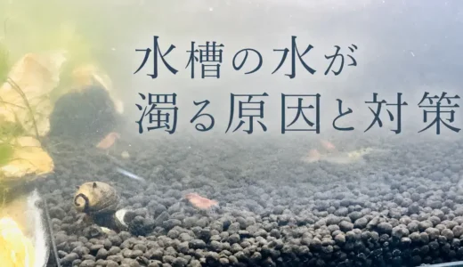 水が白・緑・茶色に濁った。何が起きてる？