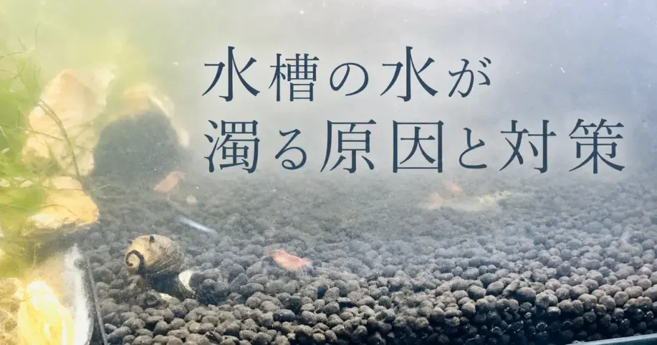 水槽の水が濁る原因と対策のアイキャッチ